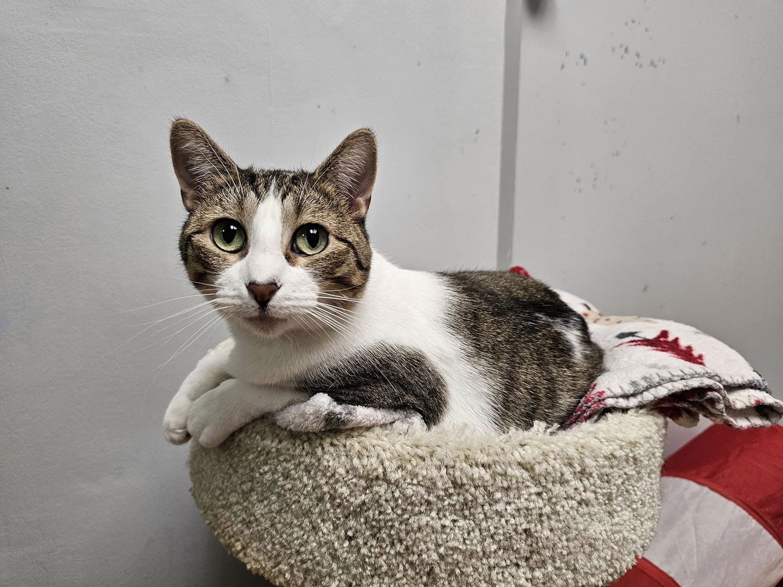 Penny & Marge - Photo 3