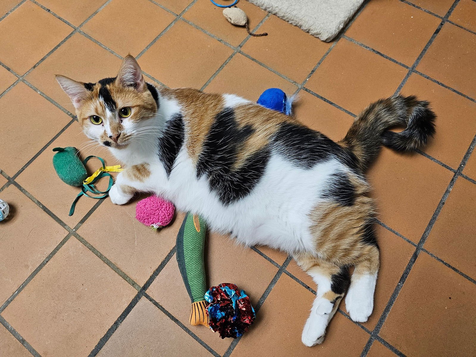 Penny & Marge - Photo 4