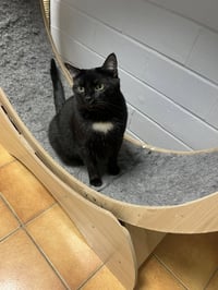 Clancy - Photo 1