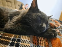 Danny - Photo 2