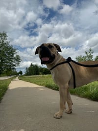 Ella Mae - Photo 4