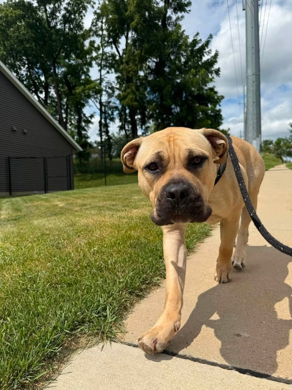 Ella Mae Image