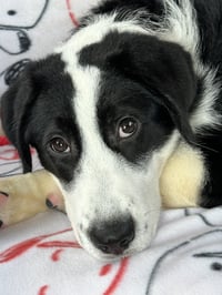 Zip - Photo 3