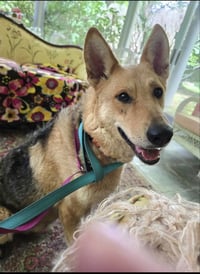Sally - Photo 3
