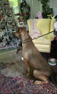 Barry - Photo 16