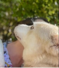 "Lonnie" - Photo 4