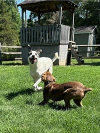 Sally Ann - Photo 7