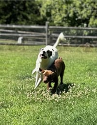 Sally Ann - Photo 8