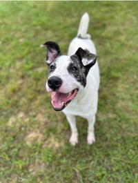 Sally Ann - Photo 3