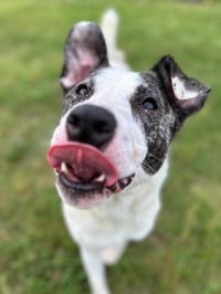 Sally Ann - Photo 6