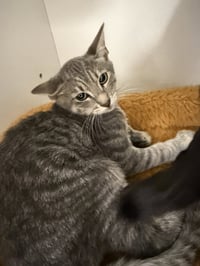 Poison - Photo 2