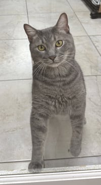 Terrance - Photo 1