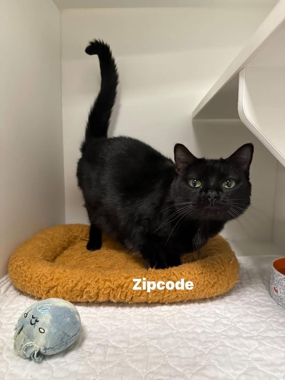 Zipcode Image