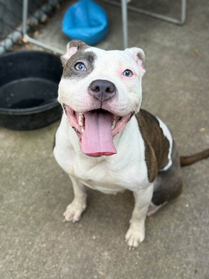 Hawaiian Tropic - Photo 3