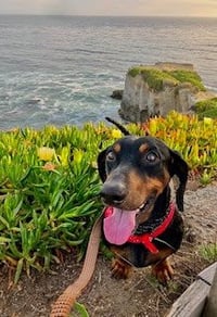 Marcus - San Diego - Photo 4