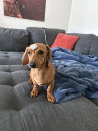 Maddie San Diego - Photo 1