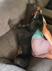 Daisy  -  Bonded With Norman  -  So Ca - Photo 8