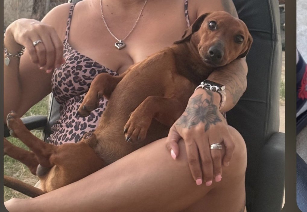 Red Milo - Temecula Image
