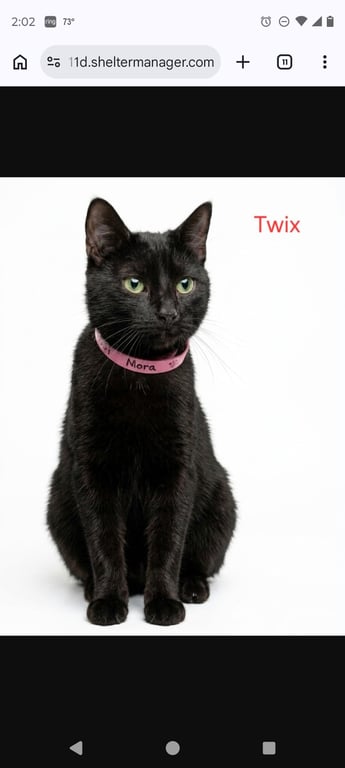 Mama Trix Image