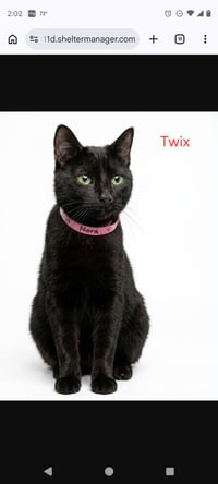 Mama Trix - Photo 1