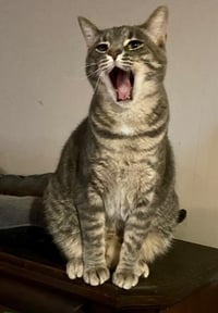 Merry - Photo 3