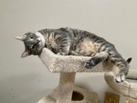 Merry - Photo 4