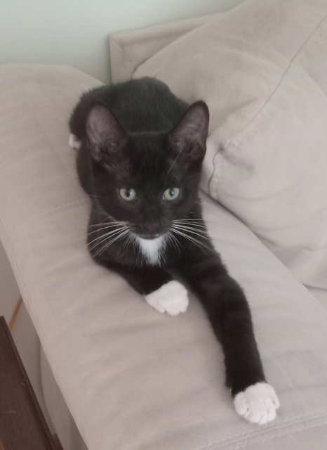 MISO
