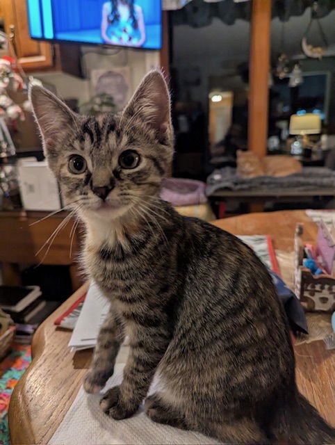 Flower power - Photo 3