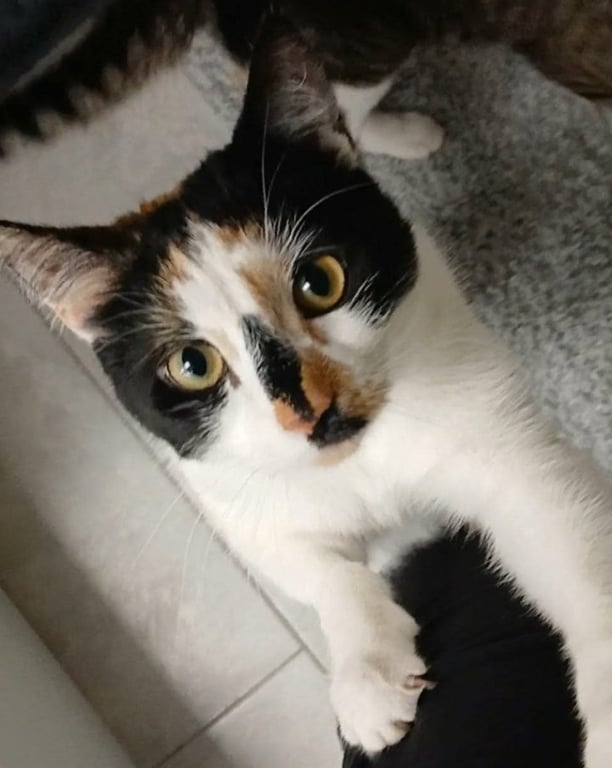 Leila Image
