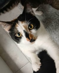 Leila - Photo 1
