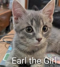 Earl the girl - Photo 1