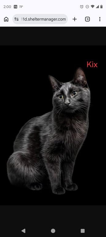 Mama Kix Image