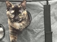 Snugglekins - Photo 2