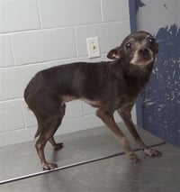 TINK - Photo 1