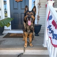 Rambo - Photo 1