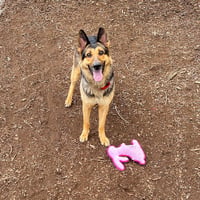 Klara - Photo 2