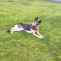 Klara - Photo 1
