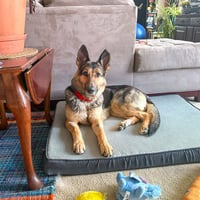 Klara - Photo 3