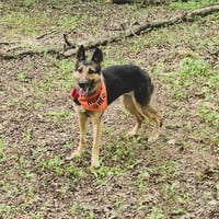 Klara - Photo 4
