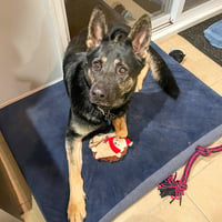 Vader - Photo 1