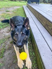 Vader - Photo 2