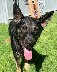 Vader - Photo 3