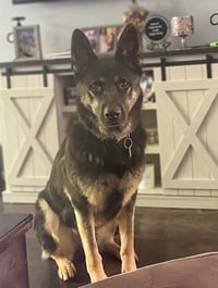 Vader - Photo 4