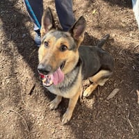 Klara - Photo 4