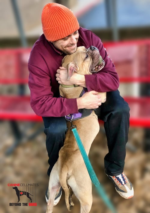 ZUKO - Bulldog for adoption in Atlanta
