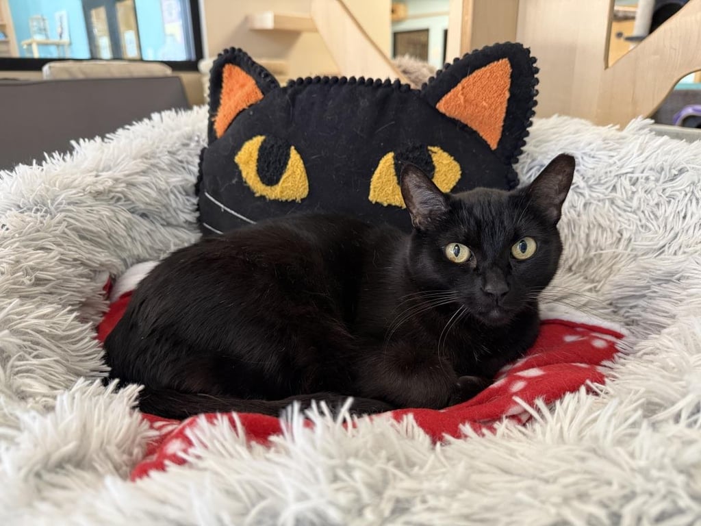 Rei June Image