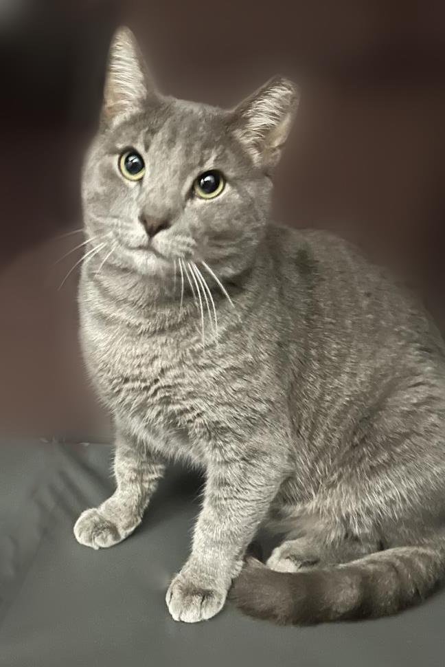 Big Smooth - Photo 3