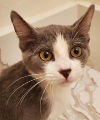 Willow Adair - Photo 1