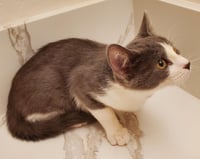 Willow Adair - Photo 2