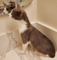 Willow Adair - Photo 3